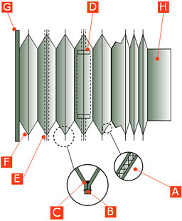 Partes do fole circular